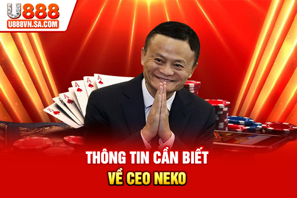 Thông tin cần biết về CEO Neko